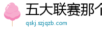 五大联赛那个水平联赛最高